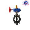 HPW Ductile Wafer 300 PSI Butterfly Valve Aleum