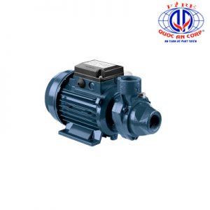 PERIPHERAL ELECTRIC PUMPS
